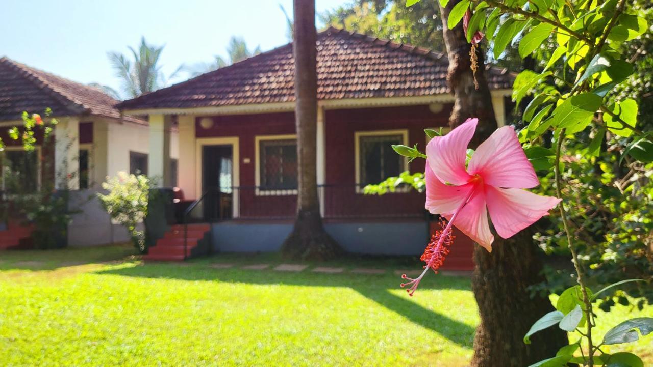 Garden Villa Vagator Extérieur photo